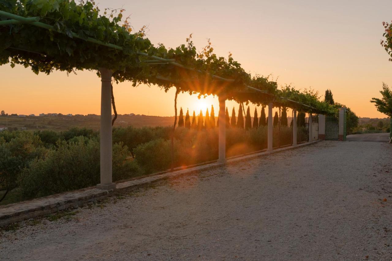 Villa Albina & Domenica Zadar Luaran gambar